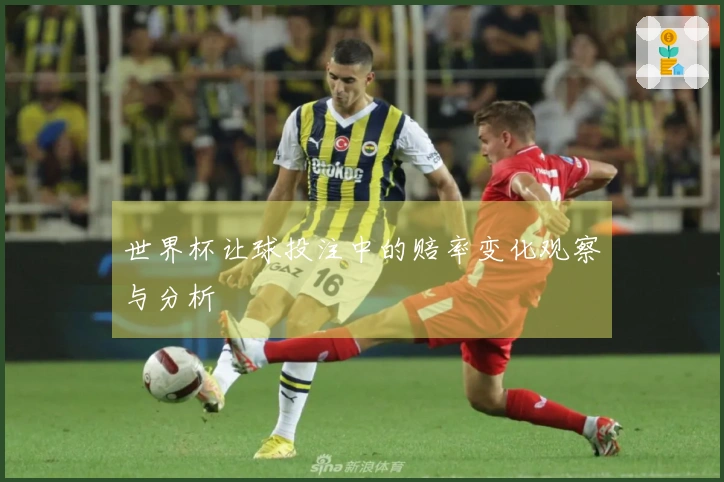 世界杯让球投注中的赔率变化观察与分析