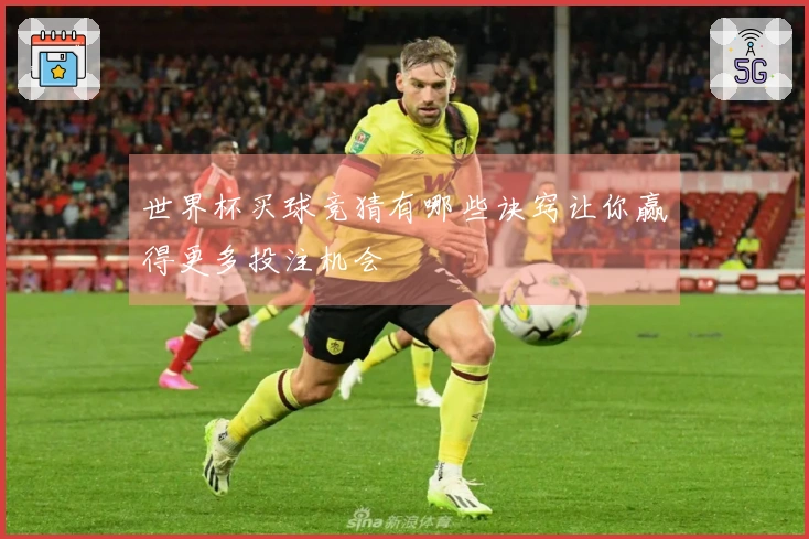 世界杯买球竞猜有哪些诀窍让你赢得更多投注机会