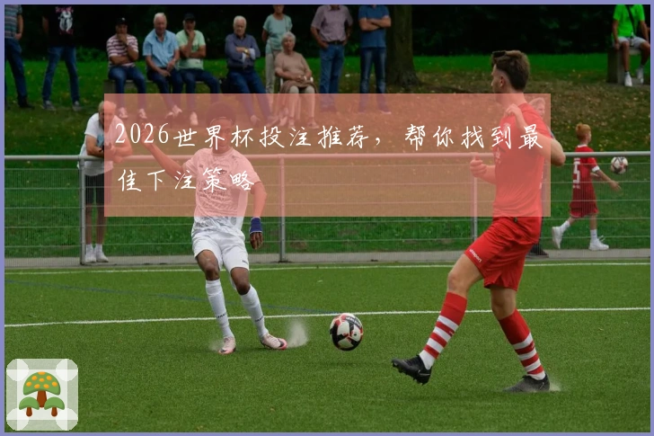 2026世界杯投注推荐，帮你找到最佳下注策略