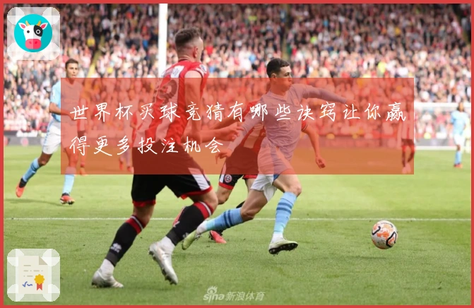 世界杯买球竞猜有哪些诀窍让你赢得更多投注机会