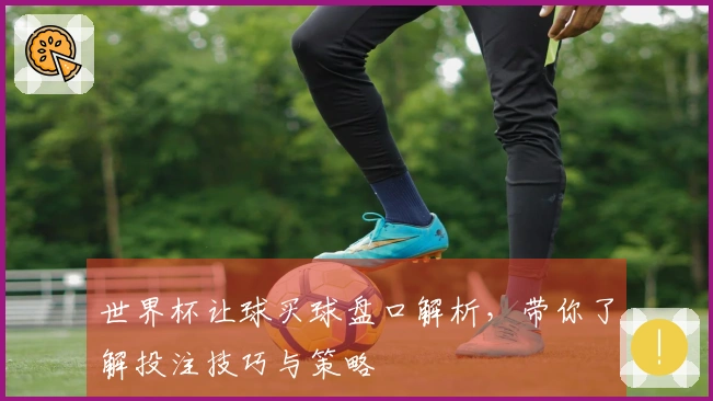 世界杯让球买球盘口解析，带你了解投注技巧与策略