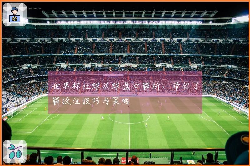 世界杯让球买球盘口解析，带你了解投注技巧与策略