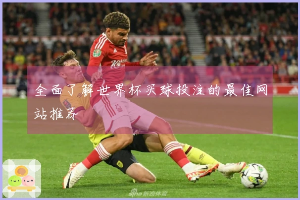 全面了解世界杯买球投注的最佳网站推荐